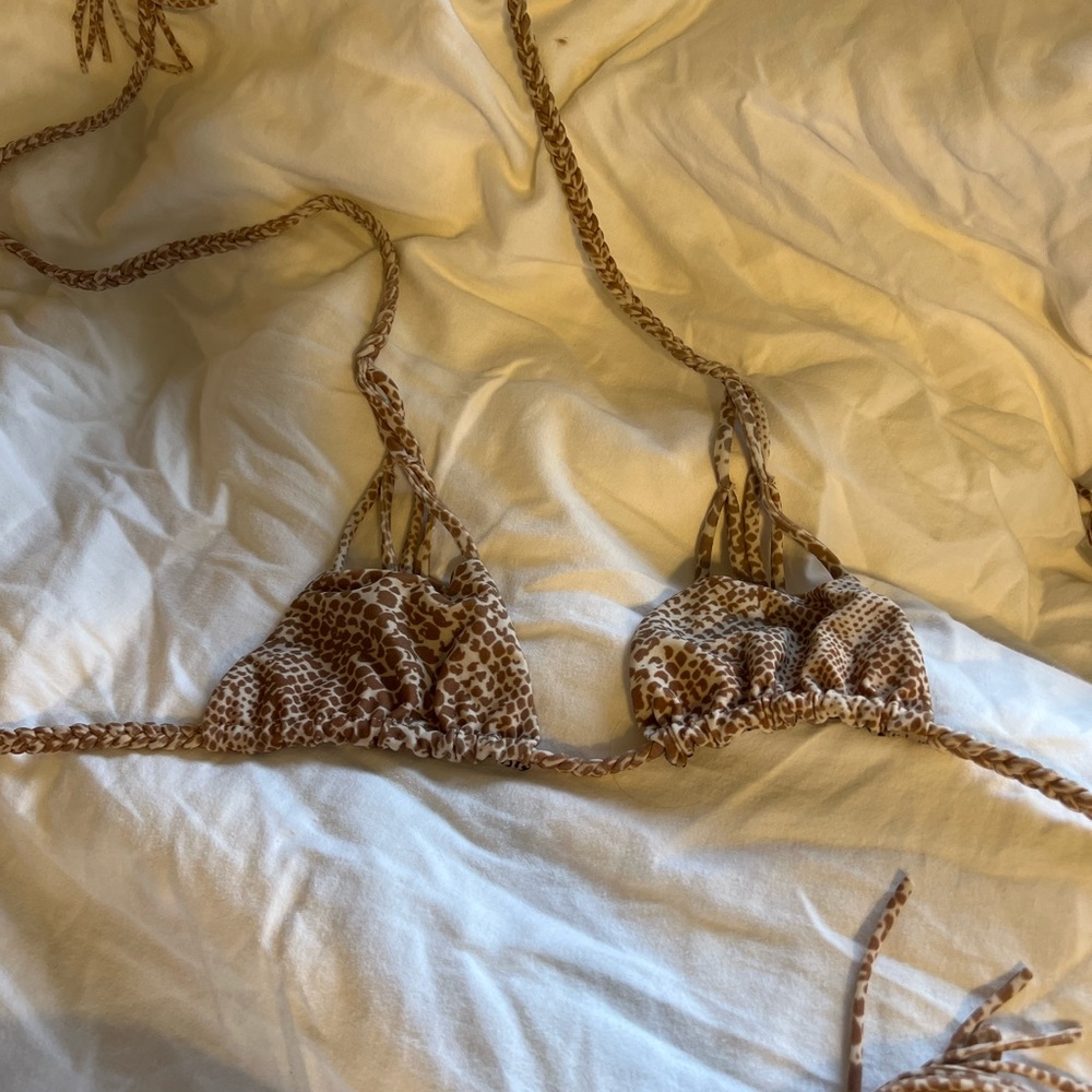 ACACIA RARE MUDSNAKE TOP